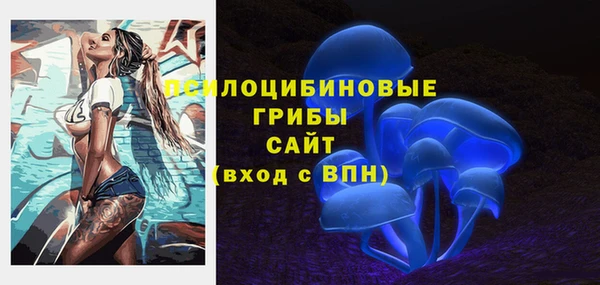 соль ск Протвино