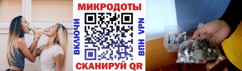 Псилоцибиновые грибы Psilocybe  купить наркоту  Конаково 